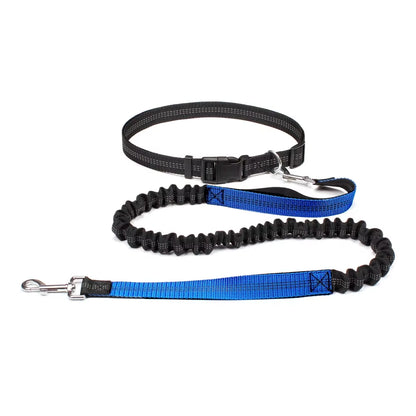 Adjustable Hands-Free Dog Leash for Walking, Running, and Jogging with Waist Belt and Chest Strap - Dog Accessories