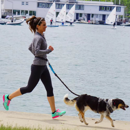 Adjustable Hands-Free Dog Leash for Walking, Running, and Jogging with Waist Belt and Chest Strap - Dog Accessories