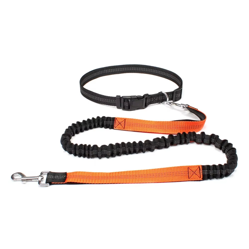 Adjustable Hands-Free Dog Leash for Walking, Running, and Jogging with Waist Belt and Chest Strap - Dog Accessories